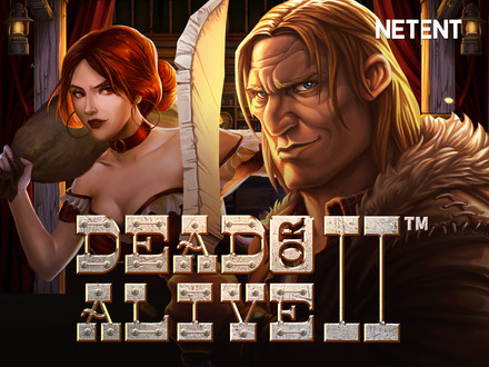 Dead or Alive 2 slot